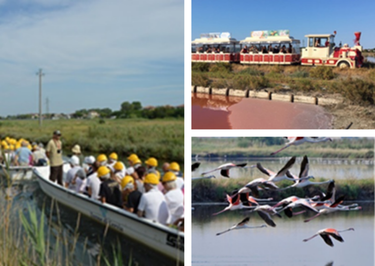DISCOV.ER alla Salina di Cervia